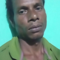 সবুজ সবুজ