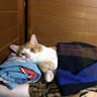 まみや