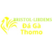 Đá Gà Trực Tiếp Thomo