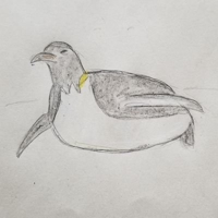 sugu/未経験からPG