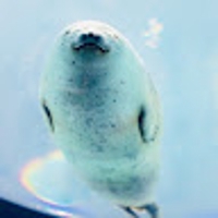 メロンパン