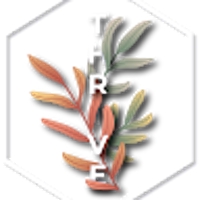 Freelancer Kushtia