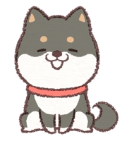 柴田