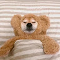 QQ L