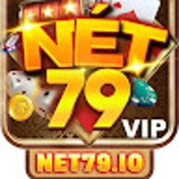 NET79 IO