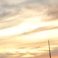 ゆう@IT企業の下っ端