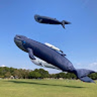 せー