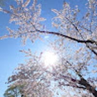 佐藤亘