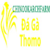 Đá Gà Trực Tiếp Thomo