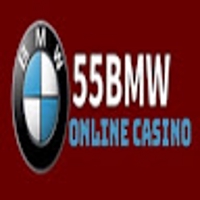 55bmw info