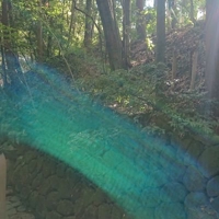 𝓜𝓲𝔂𝓸𝓼𝓱𝓲