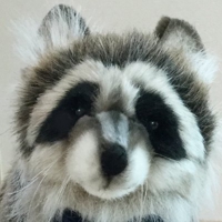 じゃも