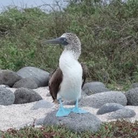 nora@ぬるま湯フリーランス