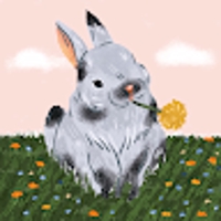 miffy carrots