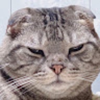 ハマ@Python FastAPI AWS