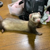 優奈