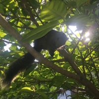 公務員面接強者