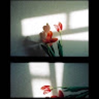 miho ishii