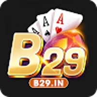B29