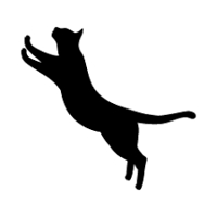 猫っ毛