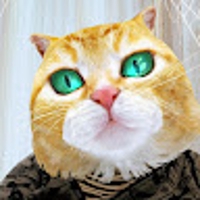 中根とらこ