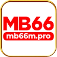 MB66