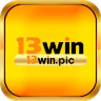 13winpics