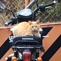 yukizakiの備忘録