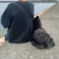 廣井渉