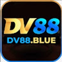 dv88blue