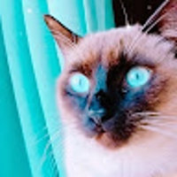 piya
