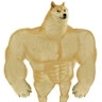 藤澤辿