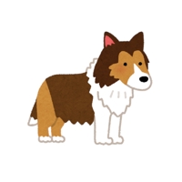 AIKI