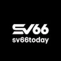 sv66today cn com