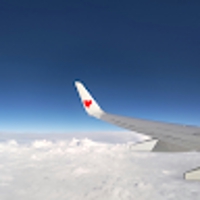 m_kimura