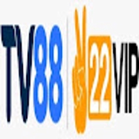 Tv88cam