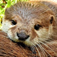 未経験からのエンジニア転職をサポートします！-image1