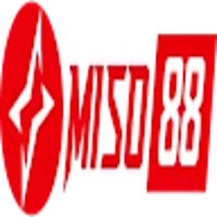 miso88bo cn com