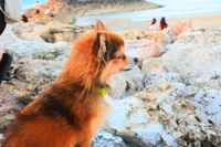 MIKI