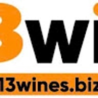 13Win Esbiz