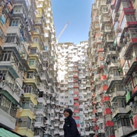 内藤 小喜
