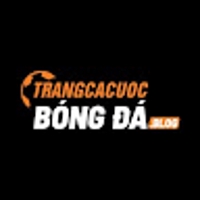 Trang Cá Cược Bóng Đá Uy Tín