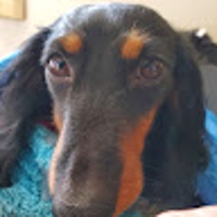 CKどらちゃんねる