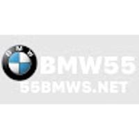 55bmwsnet