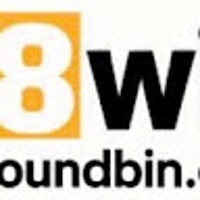 thefoundbin com