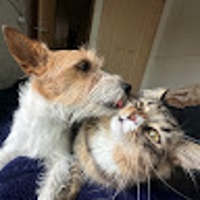 濵野華弥（hamano）