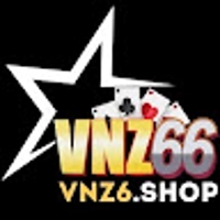 Vnz6 shop