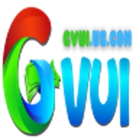 Gvui us com