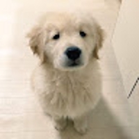Magu Mizumoto