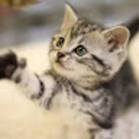 朧月ビックバンパワー